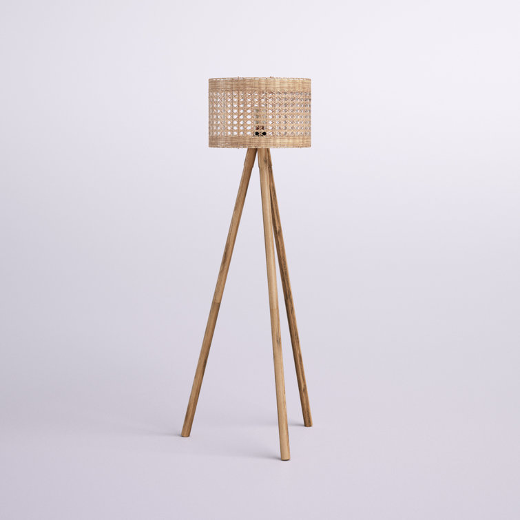 Mistana™ Antone 63" Tripod Floor Lamp & Reviews Wayfair